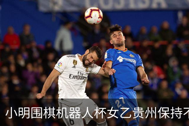 小明围棋机器人杯女乙贵州保持不败 内蒙古领跑丙组