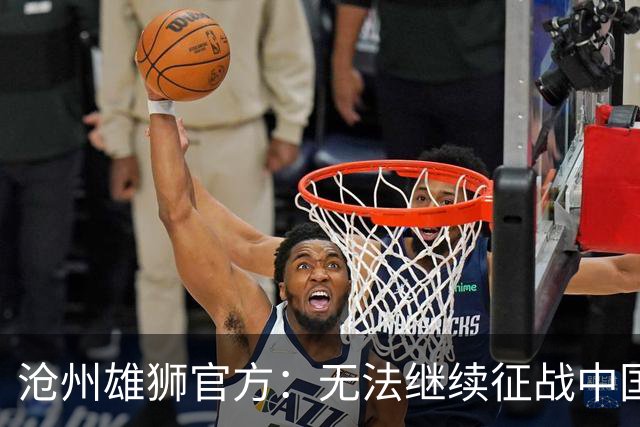 沧州雄狮官方：无法继续征战中国足球职业联赛