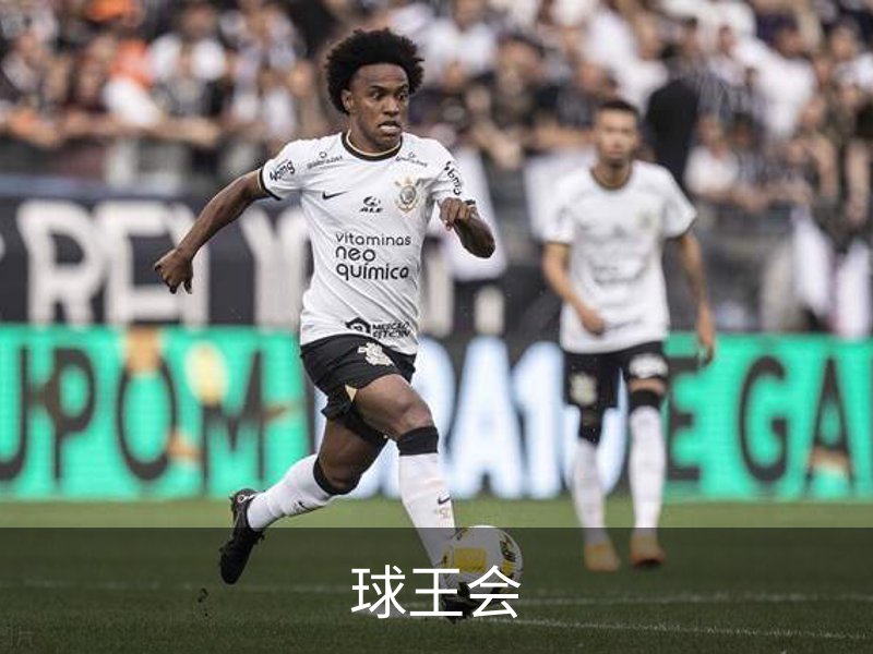 关于球王会