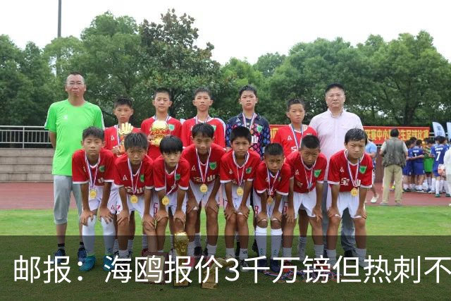 邮报：海鸥报价3千万镑但热刺不愿卖武什科维奇 巴萨国米拜仁关注